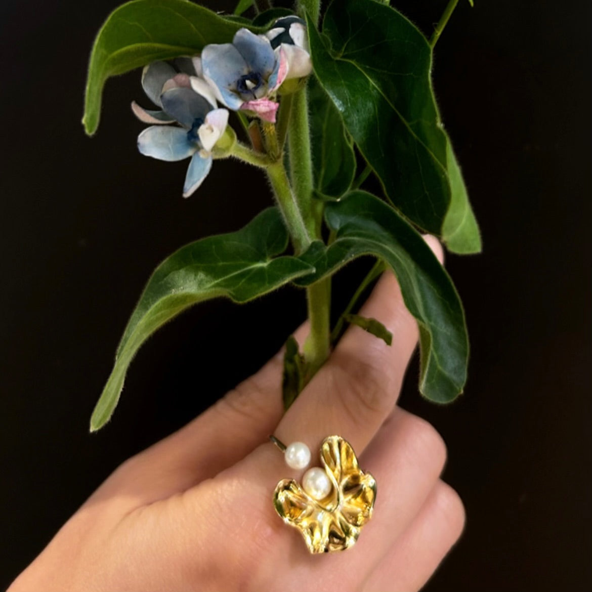 Time Ripple Ring 時空漣漪指間戒(Gold)